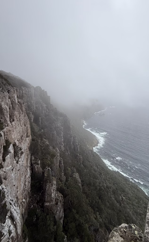 A foggy Southwest Tasmania